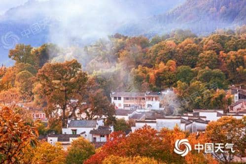 全国重阳节登高指数地图出炉 别错过这秋季十大最美“至高点”