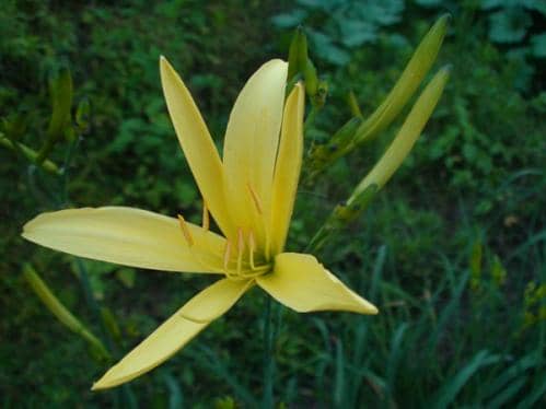 寒露风物 秋意浓情——“中国天气”公益助农寒露名录发布