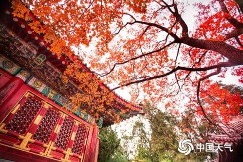 红叶季开启！2024全国赏红叶地图出炉 盘点十大推荐地独家秋色