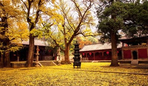 霜降节气生态文旅品牌名录发布 探寻秋日三大绝美胜地